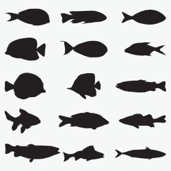 fish-silhouette
